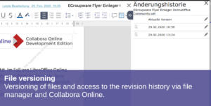 9.-File-versioning-EN-Caption